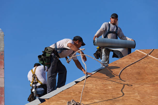 Best Roof Gutter Cleaning  in Cosmopolis, WA